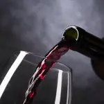 Produrre il vino: un'arte millenaria che richiede passione e cura